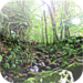 The Rain Forest - Tropic Travel and Exotic Animals and Creature Sounds