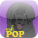 Ask POP:  Full Version